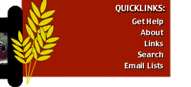 More Navigation Links